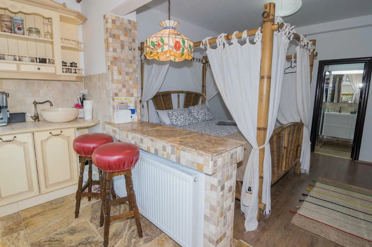 City Center Oasis Apartment Bucharest